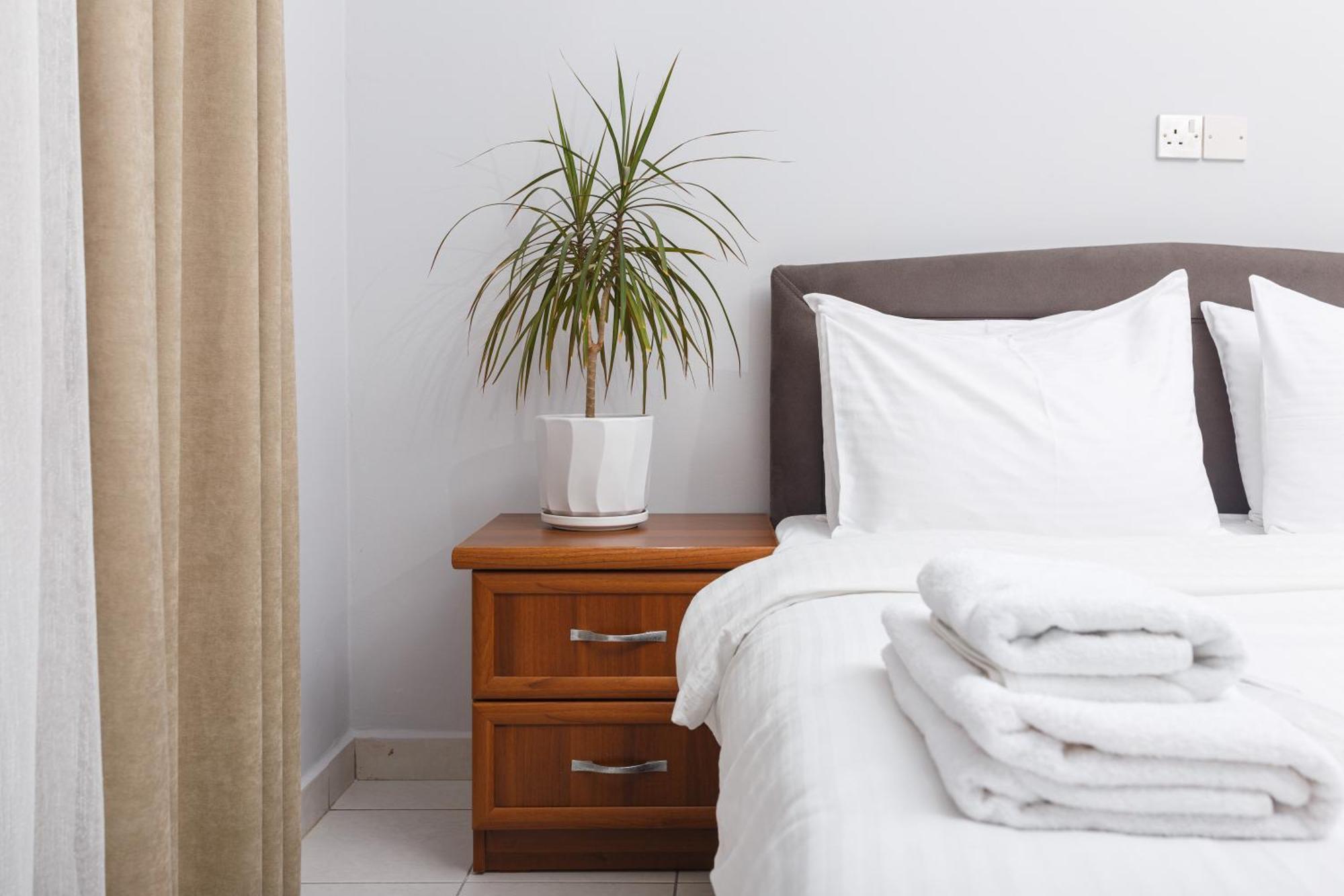 Homelike Guest House 凯里尼亚 客房 照片